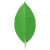MongoDB